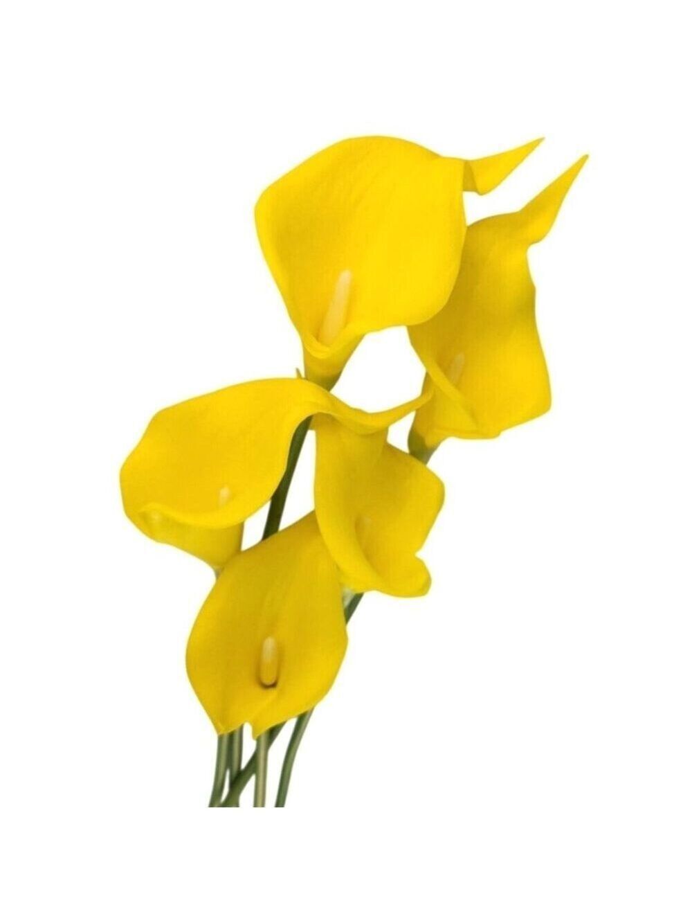 Sunny Yellow Faux Calla Lily Stems 15 Inch Wedding Artificial Flowers Spring Eve